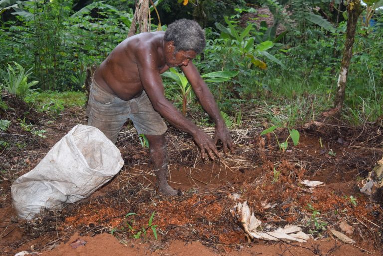 Planting Native Trees